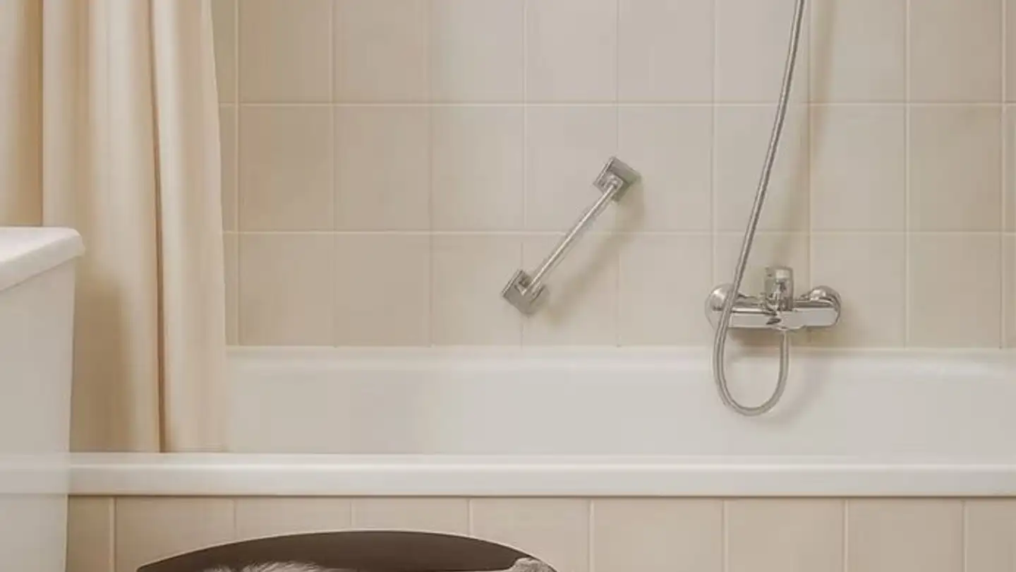 Stanza singola in affitto - Route De La Gemmi, 3960 Sierre - Photo 2