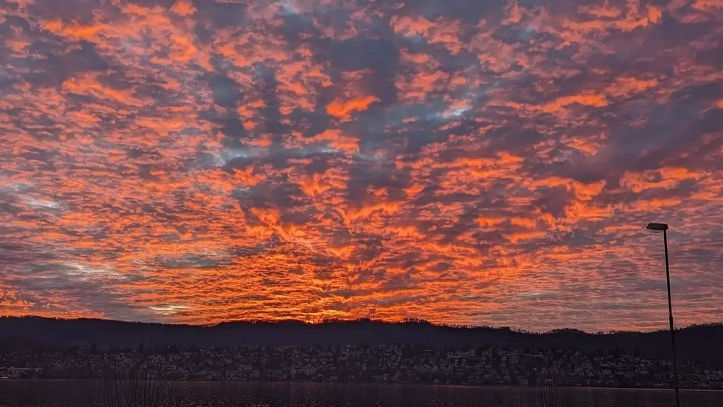 Appartement à louer - Seestrasse, 8702 Zollikon