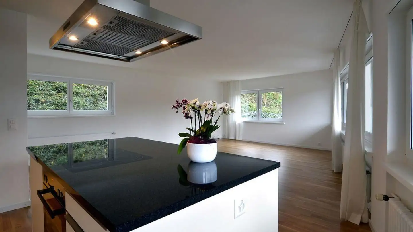 Loft for rent - Mariahaldenstrasse 5, 8703 Erlenbach ZH - Photo 4