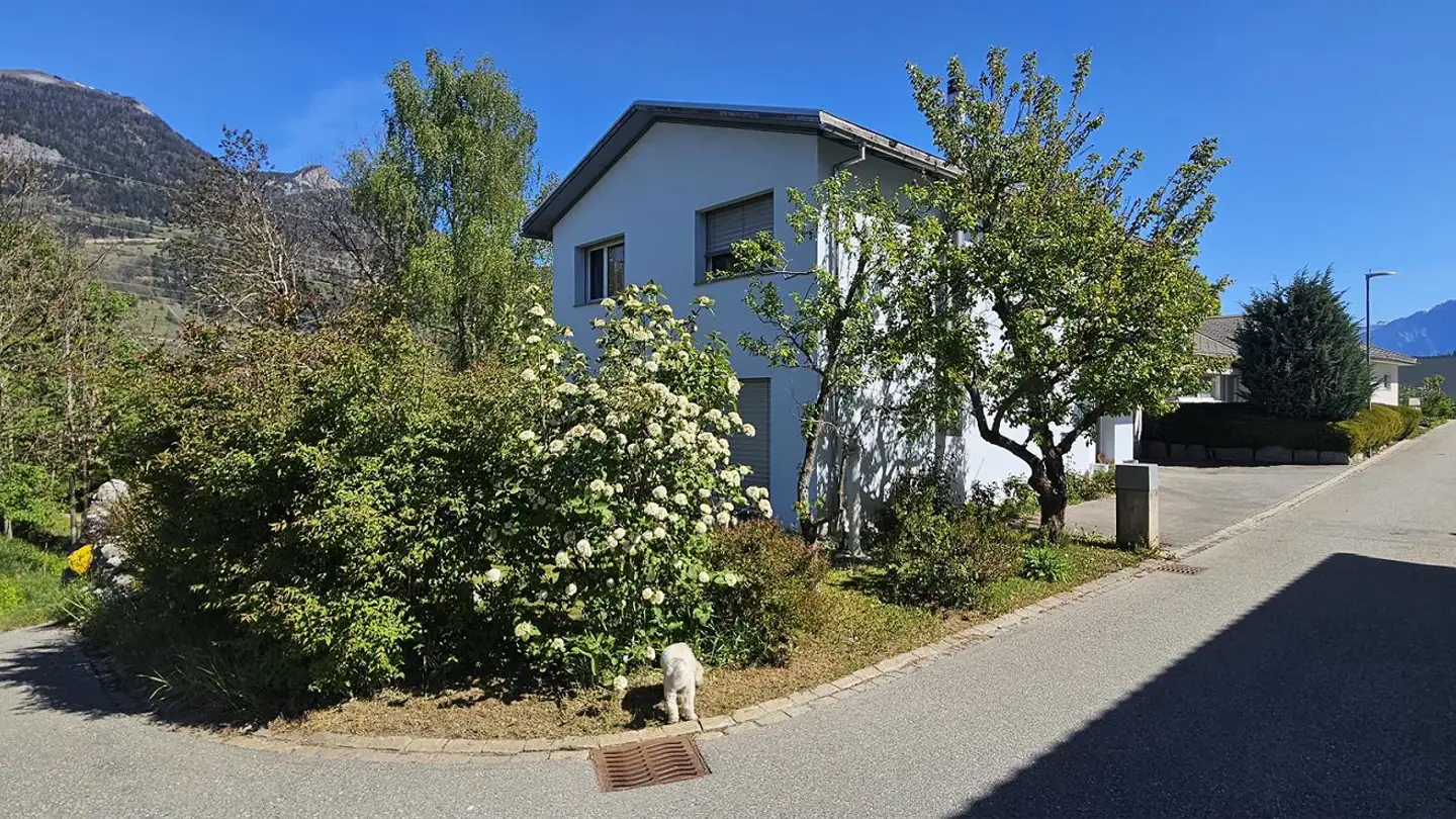 Single house for sale - Via Danisch 30, 7402 Bonaduz - Photo 2