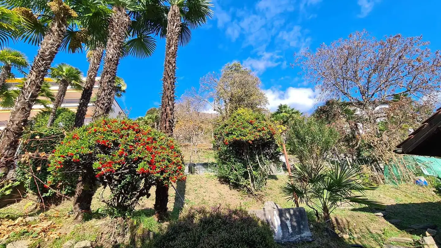 Terreno edificabile in vendita - 6600 Locarno - Foto 3