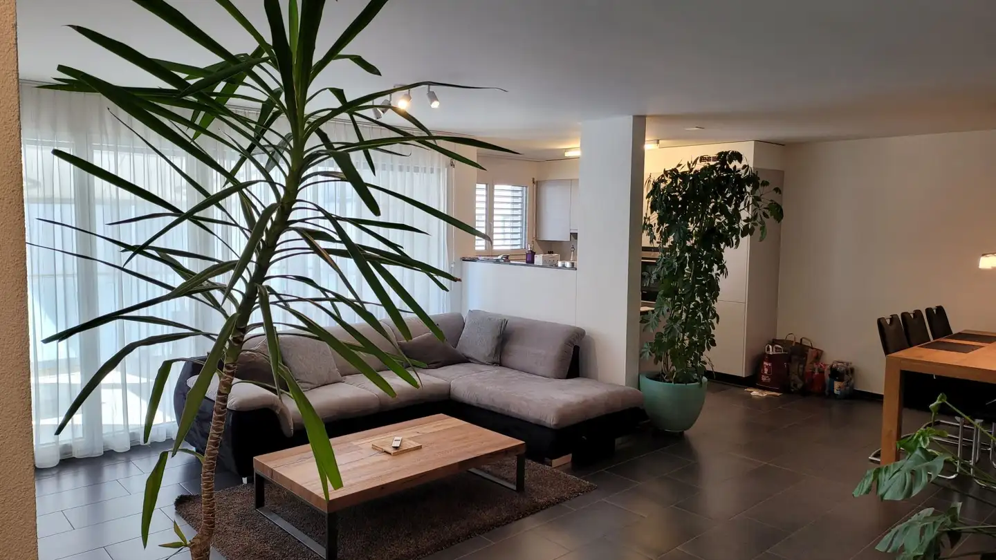 Appartamento in affitto - Schulstrasse, 9536 Schwarzenbach SG - Foto 3