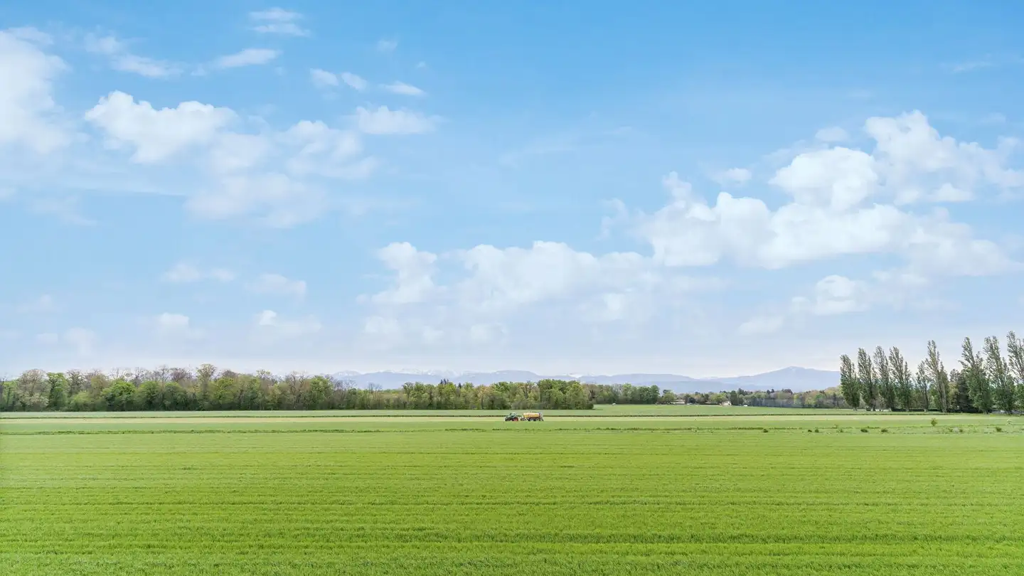 Office space for rent - Route Des Avouillons 17d, 1196 Gland