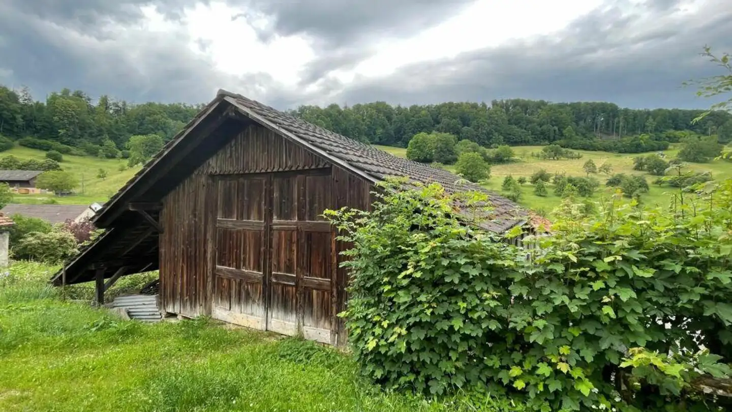 Farm for sale - 4451 Wintersingen - Photo 2
