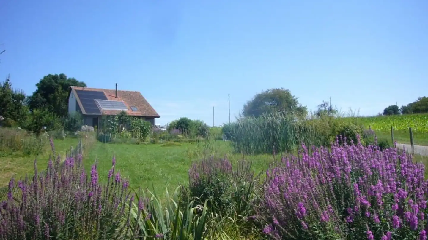 Einfamilienhaus mieten - Chemin De La Crettaz 2, 1077 Servion - Foto 3