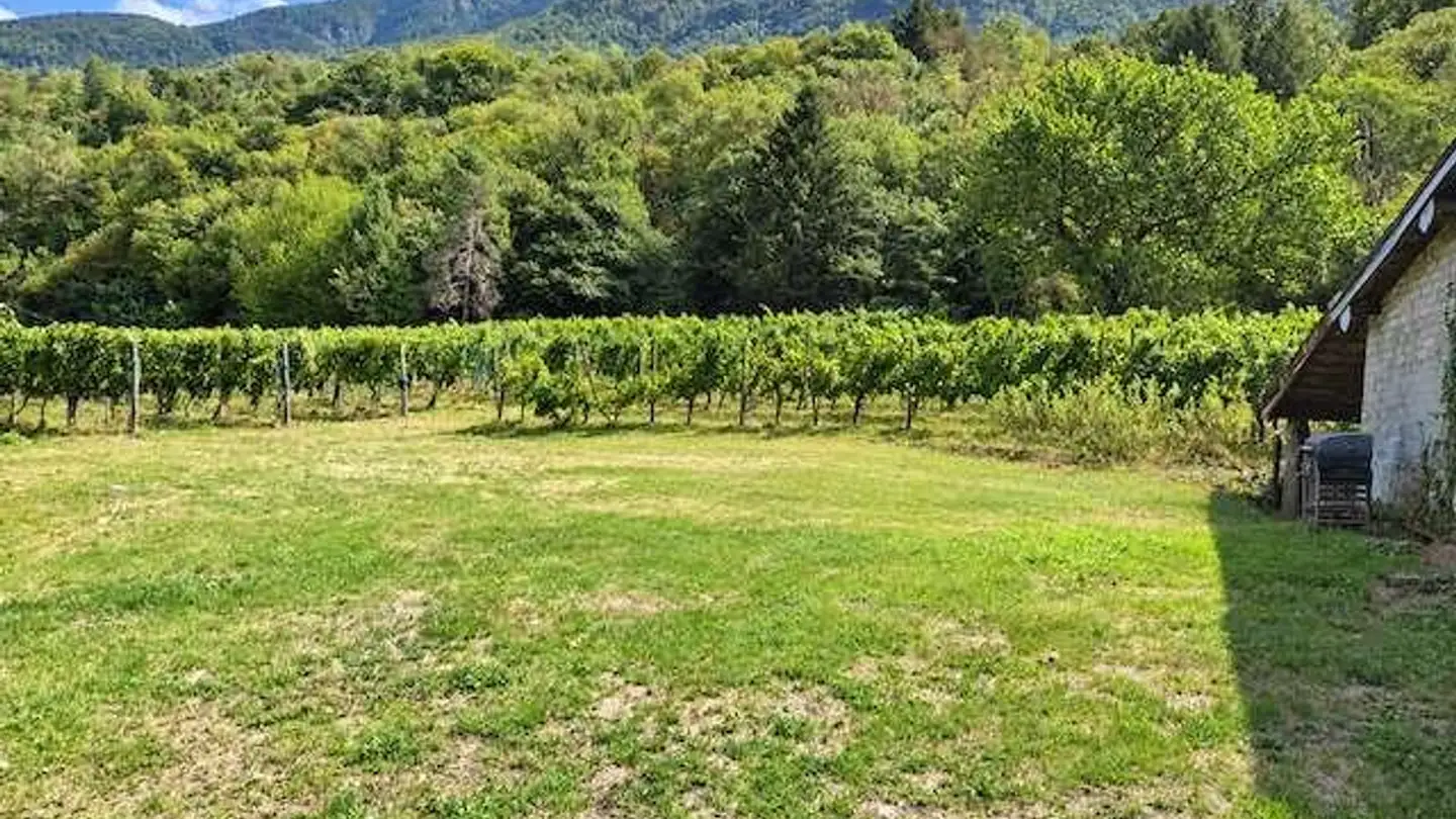 Atelier à vendre - In Cumlina 39, 6528 Camorino - Photo 3