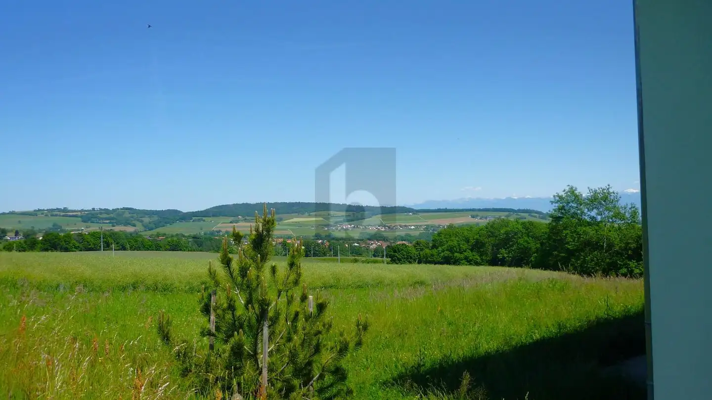 Casa singola in affitto - 1273 Arzier-Le Muids - Foto 4