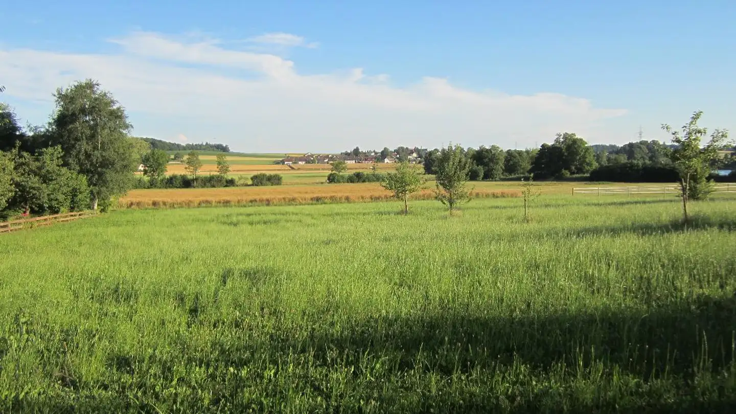 Casa singola in vendita - Subingenstrasse 13, 3375 Inkwil - Photo 4