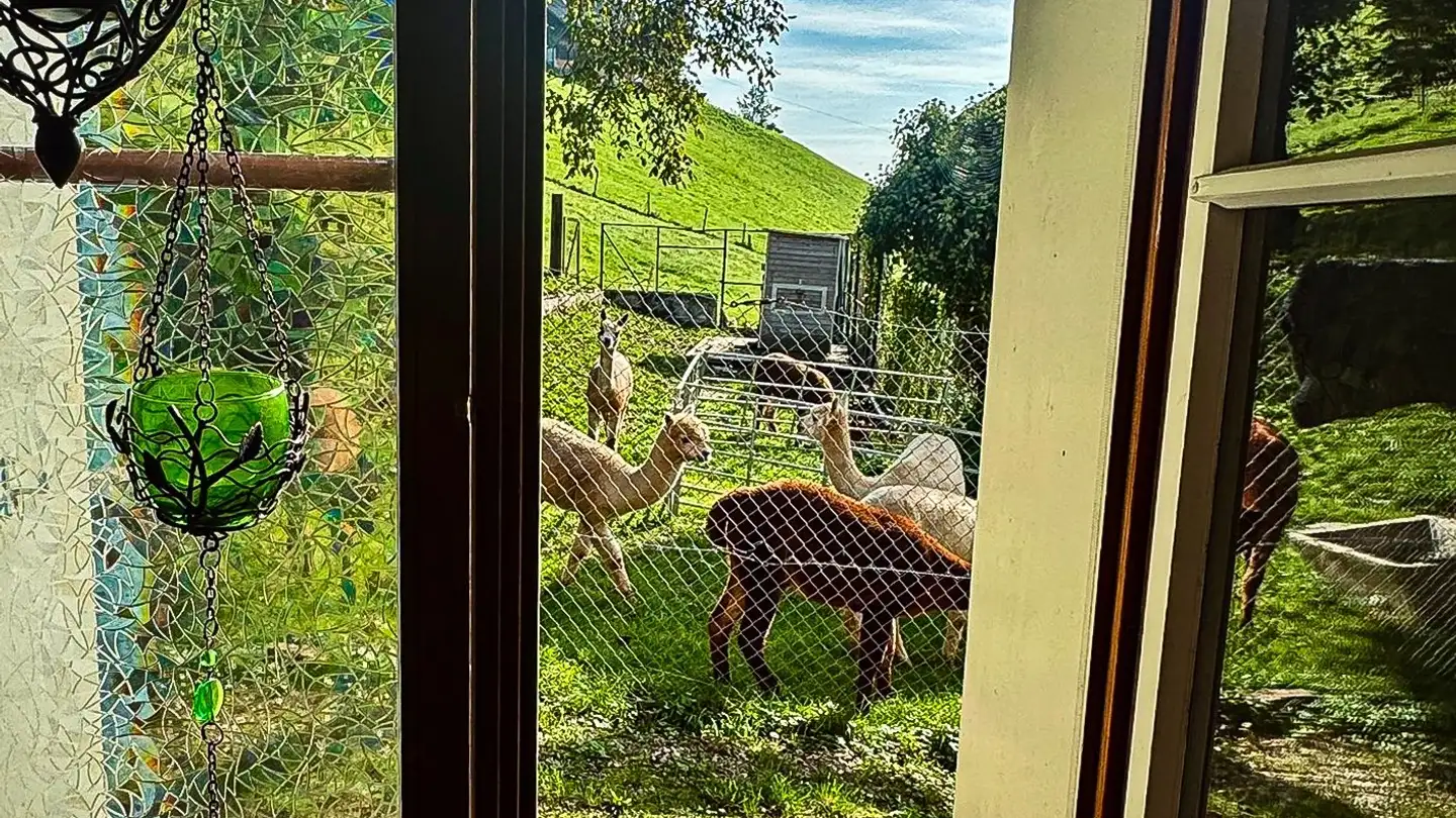 Einfamilienhaus mieten - 6244 Nebikon - Foto 2