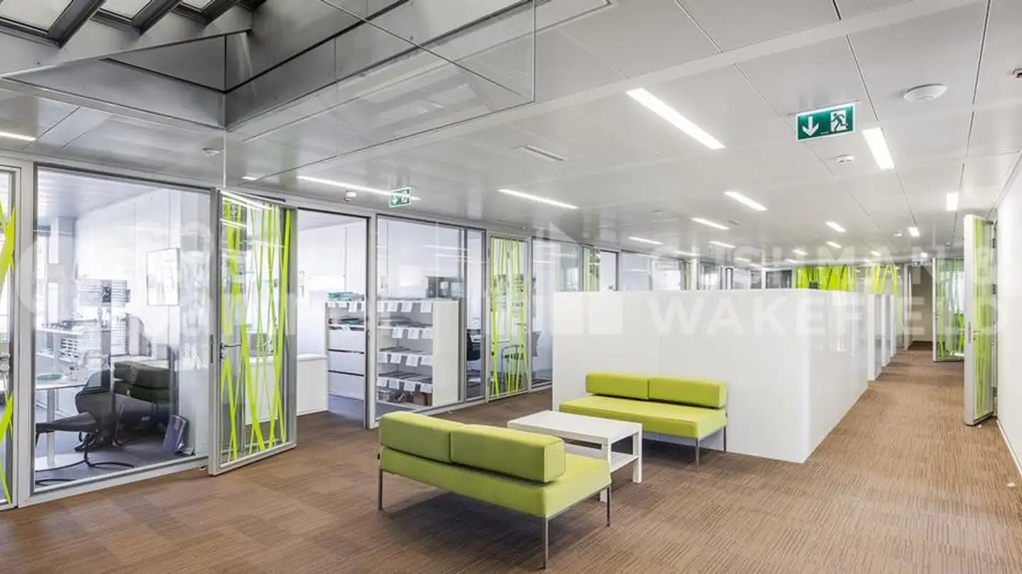 Office space for rent - Chemin Des Olliquettes 10, 1213 Petit-Lancy - Photo 3