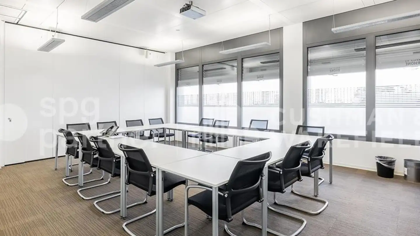 Office space for rent - Chemin Des Olliquettes 10, 1213 Petit-Lancy - Photo 2