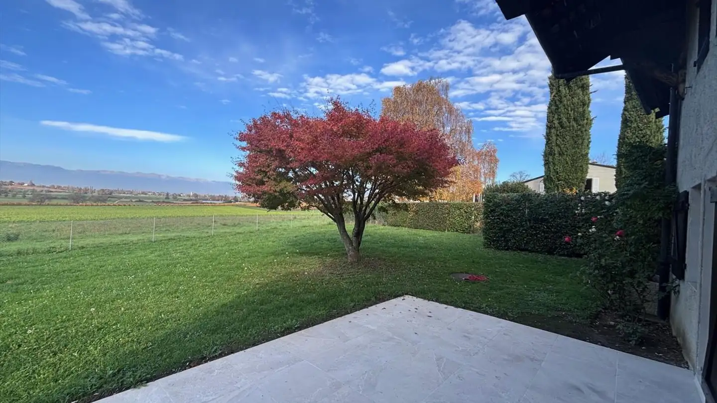 Appartamento in affitto - Chemin De Sionnet 47, 1254 Jussy - Photo 4