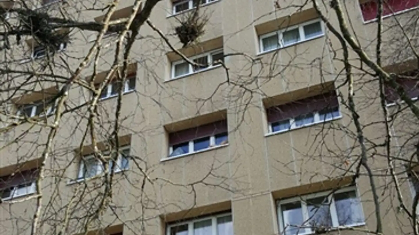 Appartamento in affitto - Rue Abraham-Robert, 2300 La Chaux-de-Fonds