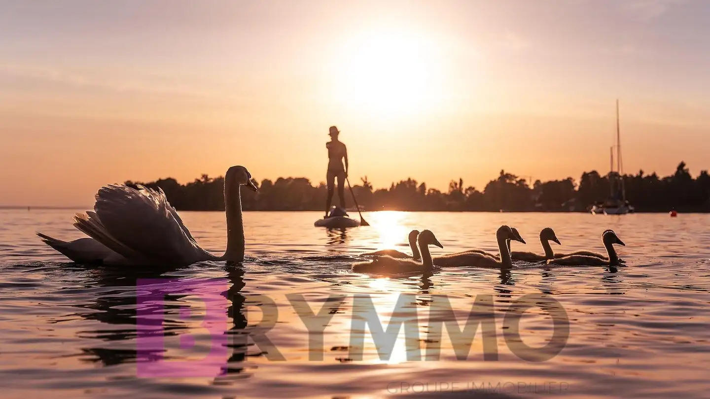 Maison individuelle à vendre - 1180 Rolle - Photo 2