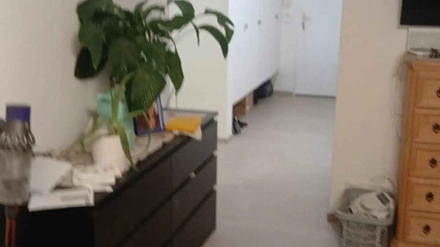 Apartment for rent - Untere Steinegg 8, 9100 Herisau - Photo 3