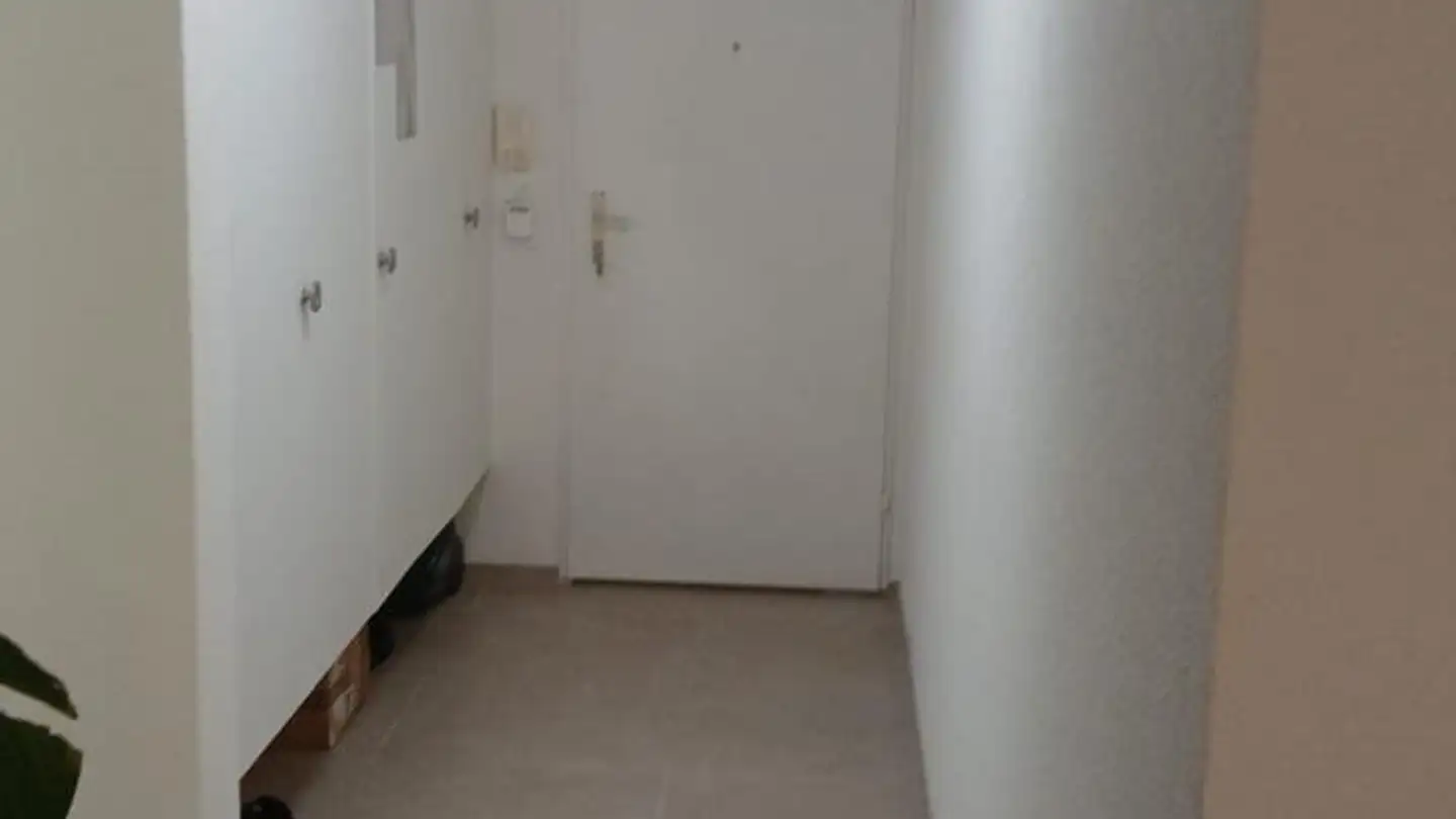 Apartment for rent - Untere Steinegg 8, 9100 Herisau - Photo 4