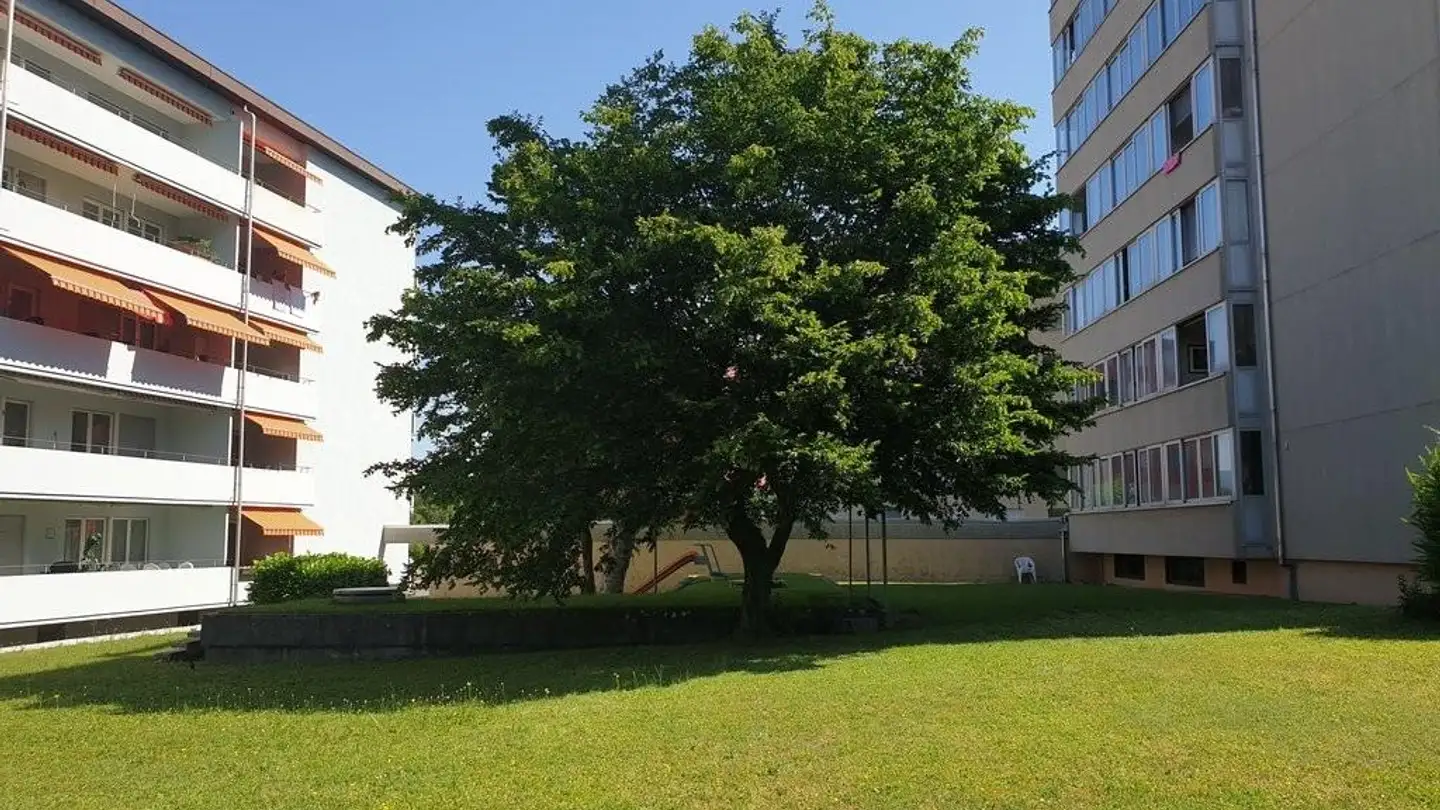 Wohnung mieten - Libellenweg 7, 3250 Lyss
