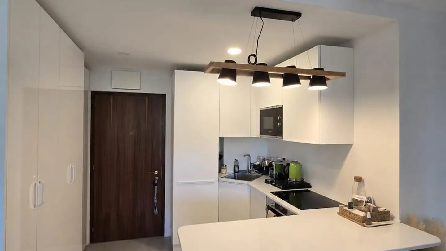 Apartment for rent - Chemin Ami- Argand 72, 1290 Versoix - Photo 2
