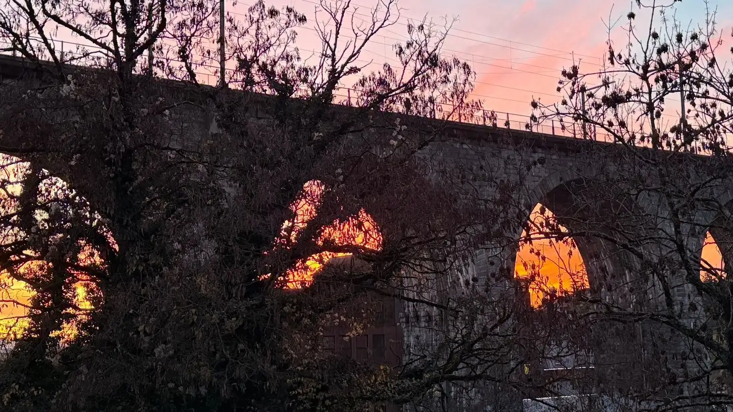 Studio in affitto - Chemin Vallon De La Paudèze, 1094 Paudex - Foto 2
