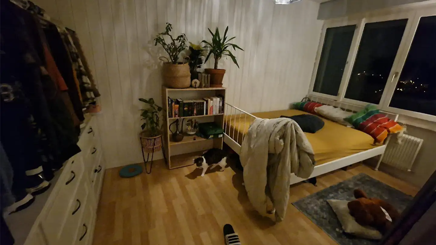 Appartement à louer - Spitalstrasse 12, 6110 Wolhusen - Photo 2