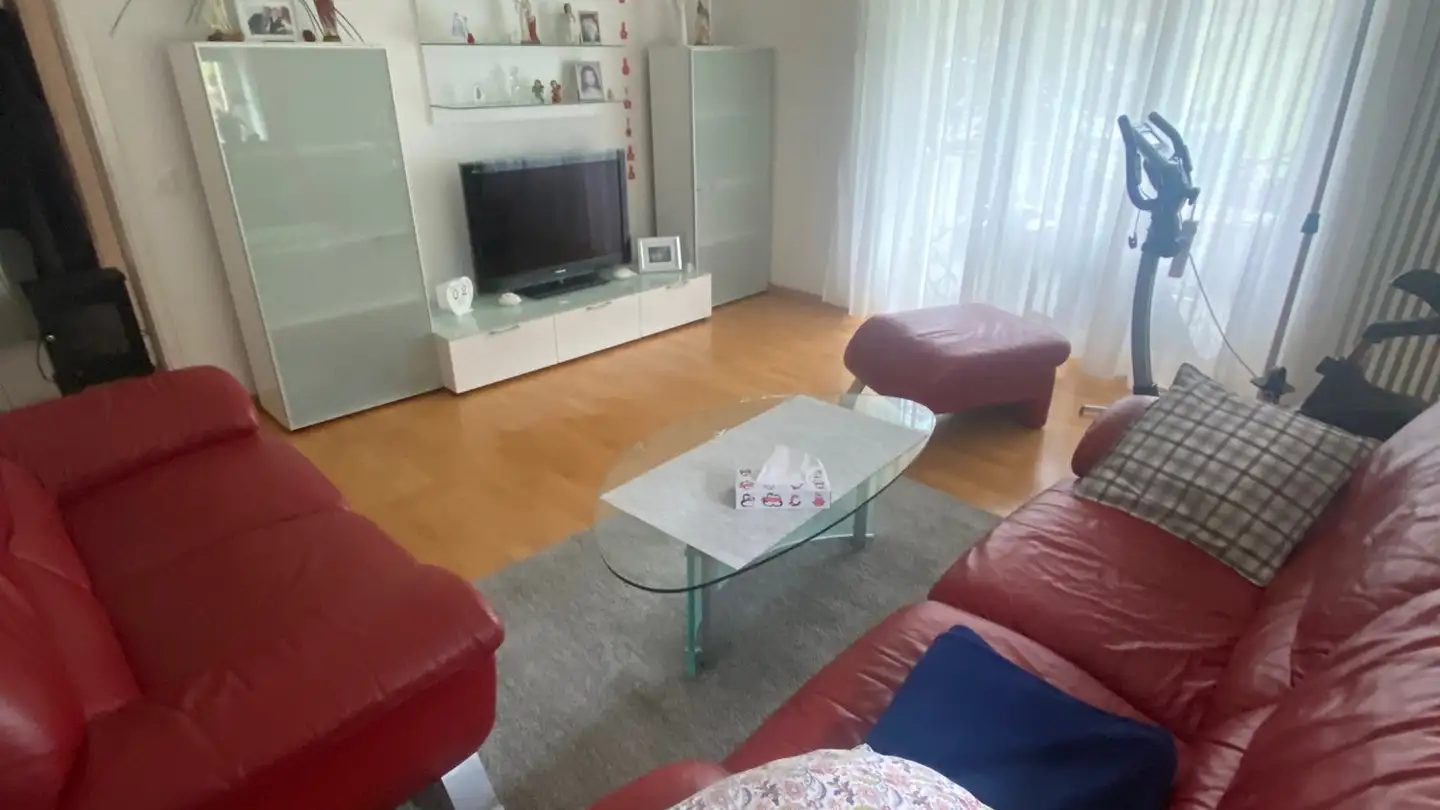 Appartamento in vendita - Schellenberg, 4437 Waldenburg - Photo 2