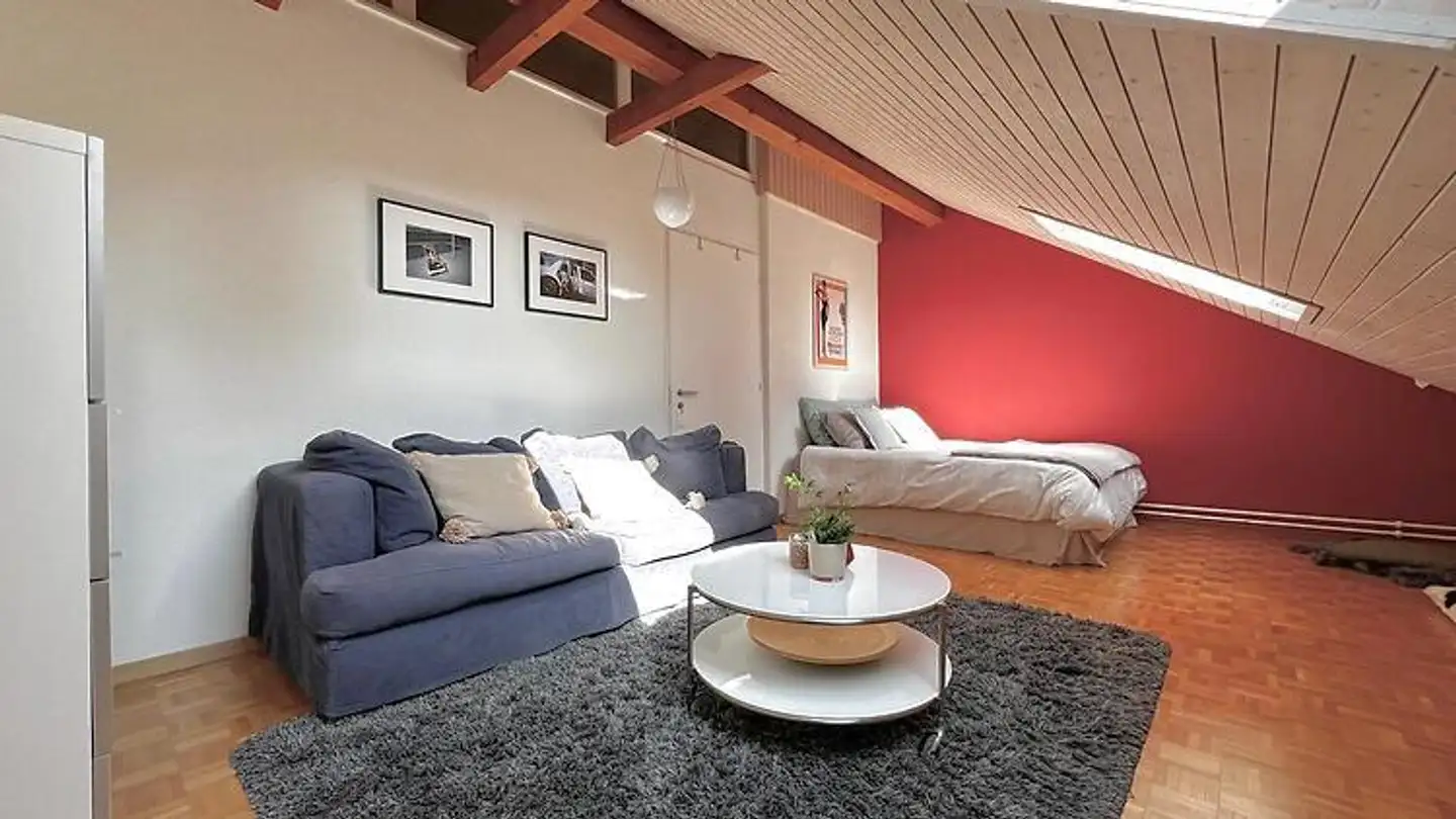 Furnished apartment for rent - 8704 Herrliberg - Photo 4