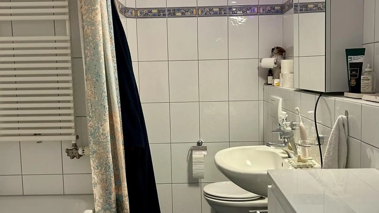 Apartment for rent - St.-Karli-Strasse 3, 6004 Luzern - Photo 4