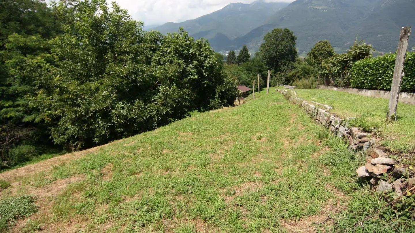 Constructible plot for sale - Carrale Degli Orti 3, 6593 Cadenazzo - Photo 4