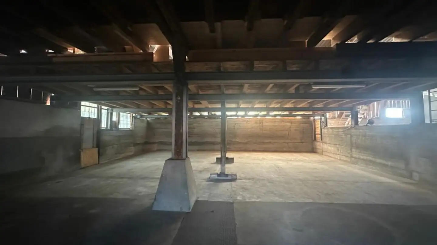 Spazio di archiviazione in affitto - Höcklerhof, 8962 Bergdietikon - Foto 4
