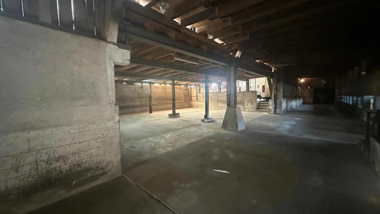 Spazio di archiviazione in affitto - Höcklerhof, 8962 Bergdietikon - Foto 3