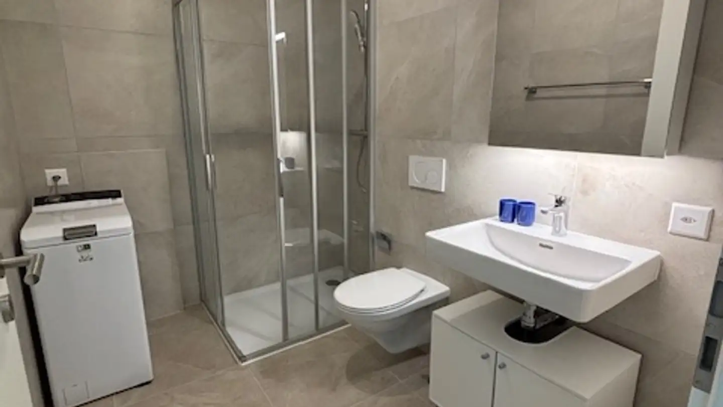 Appartamento in affitto - Rue Antoinette Quinche, 1022 Chavannes-près-Renens - Foto 4