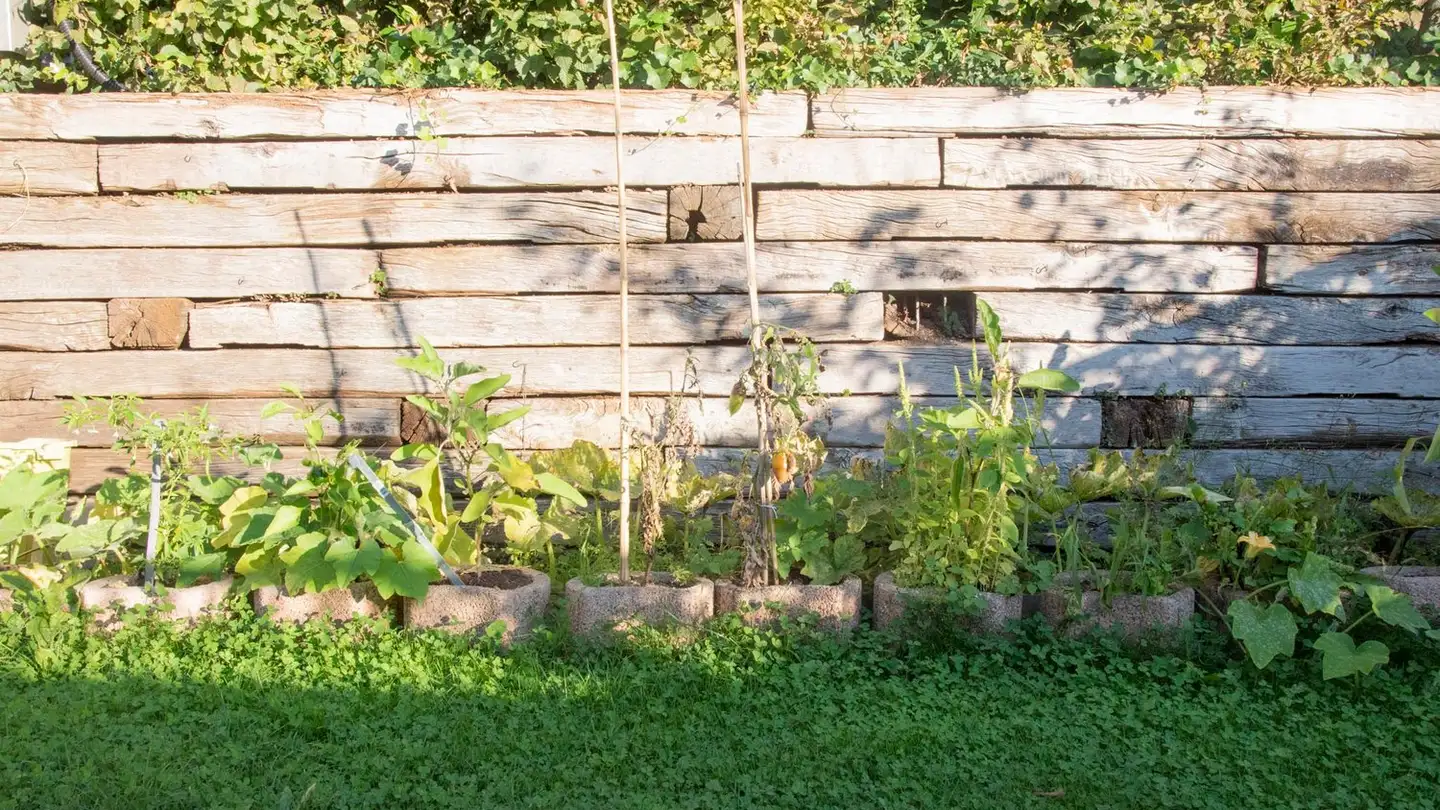 Casa a schiera in affitto - Liebewilstrasse 69, 3174 Thörishaus - Photo 2