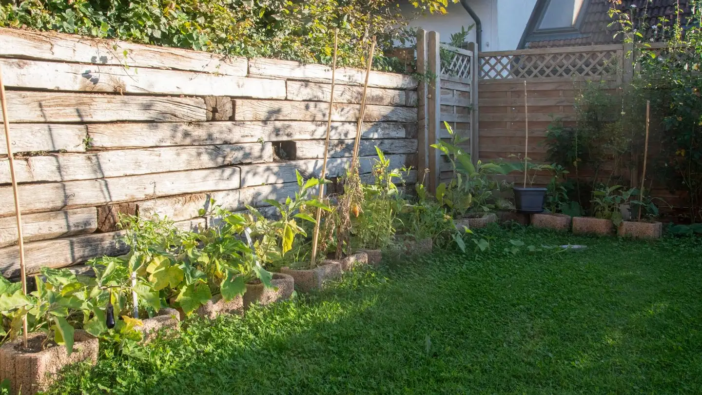 Casa a schiera in affitto - Liebewilstrasse 69, 3174 Thörishaus - Photo 3