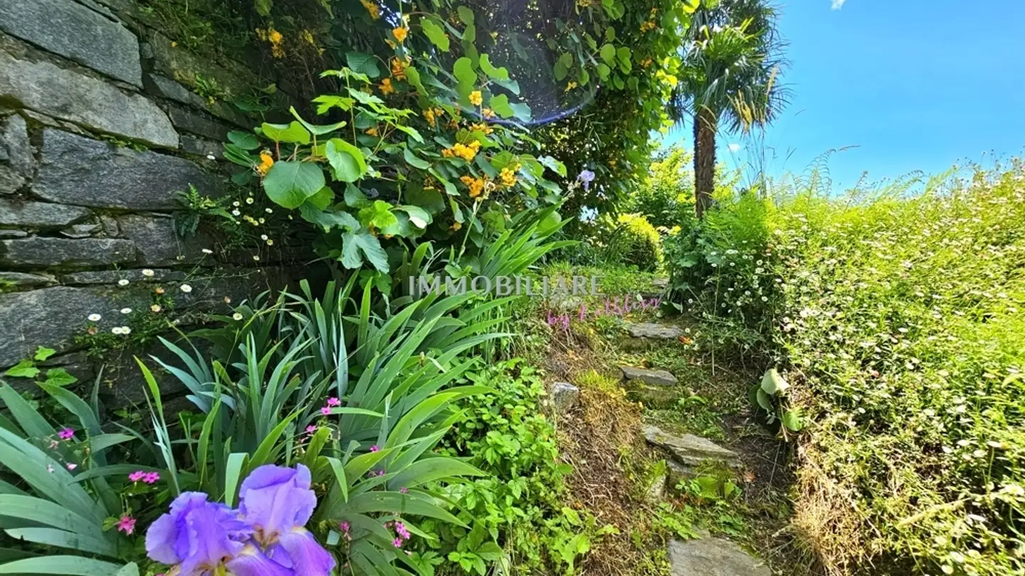 Casa singola in vendita - 6596 Gordola - Photo 4