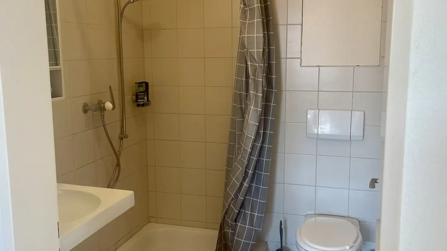 Appartamento in affitto - Brunhof 38, 5636 Benzenschwil - Foto 2