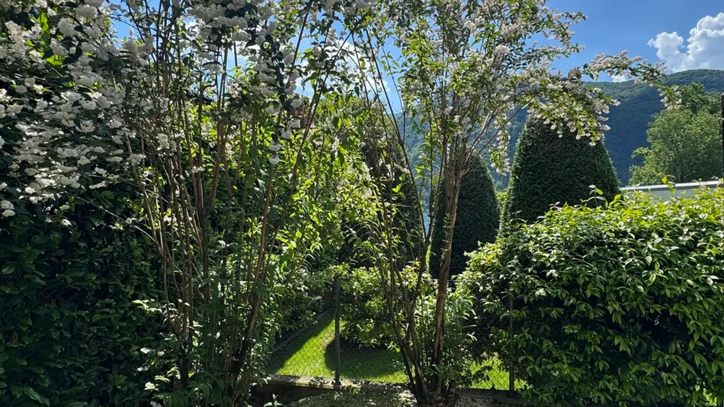 Attico in vendita - Via Cantonale, 6818 Melano - Photo 3