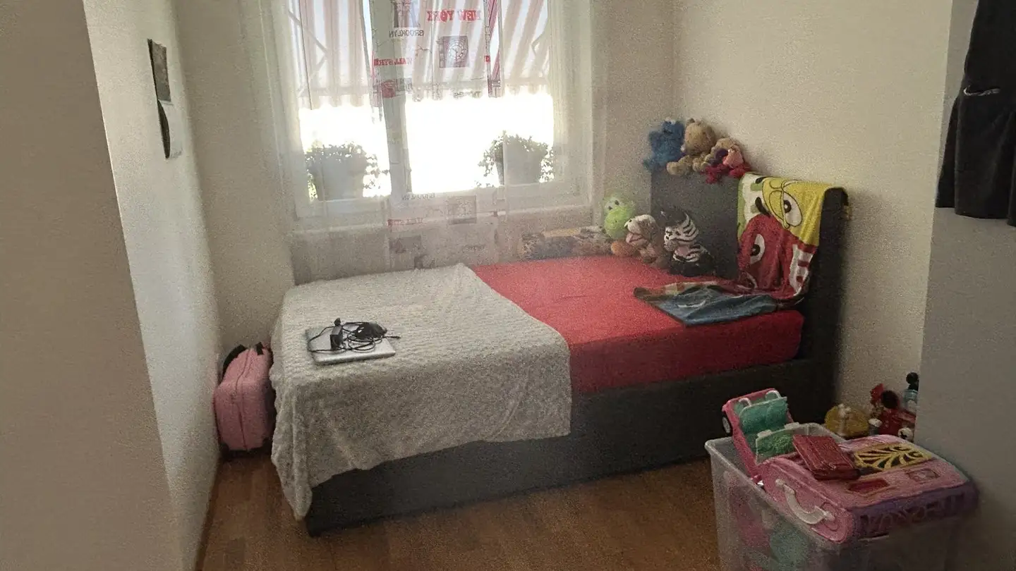 Stanza singola in affitto - Seewadelstrasse 13, 8444 Henggart - Photo 4