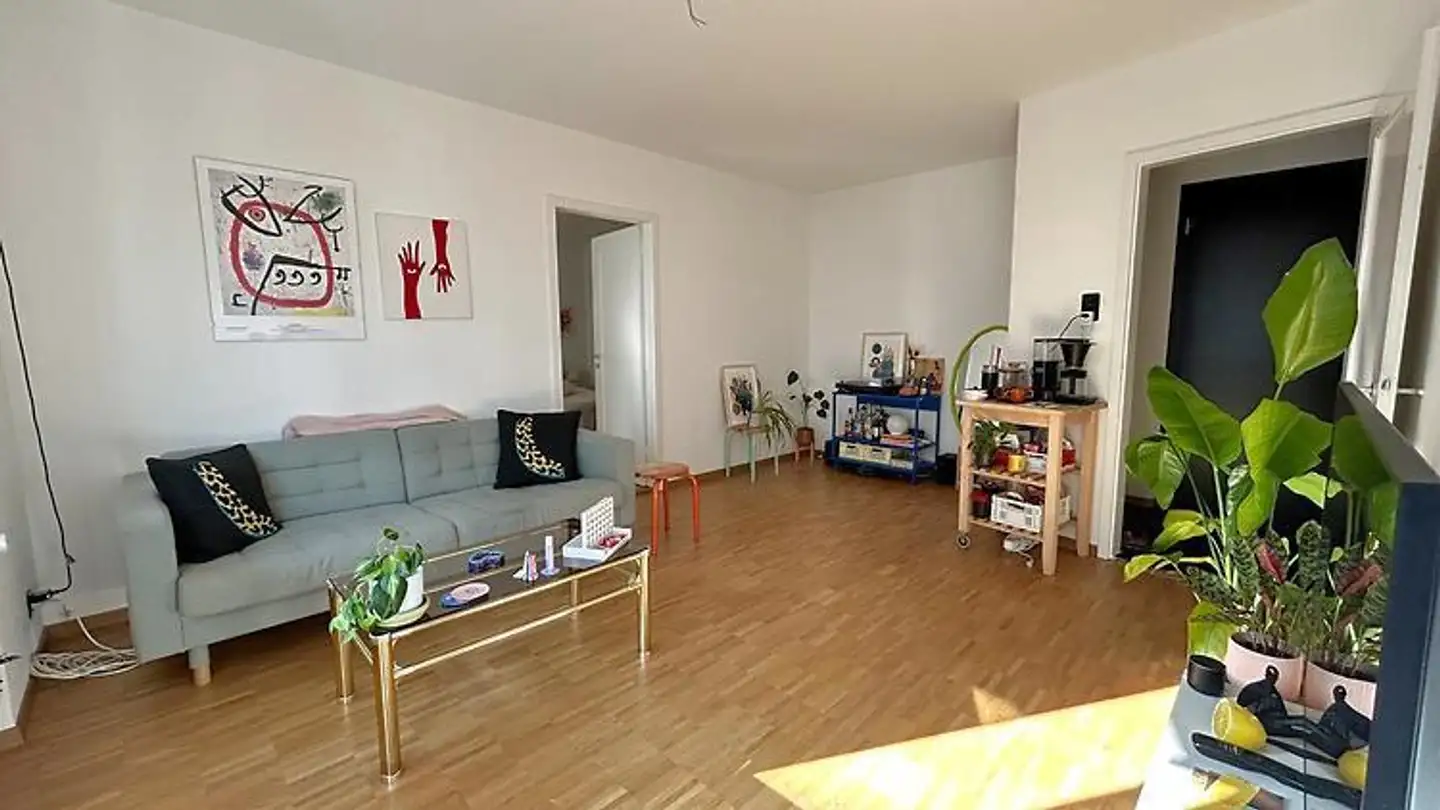 Appartamento ammobiliato in affitto - 3014 Bern