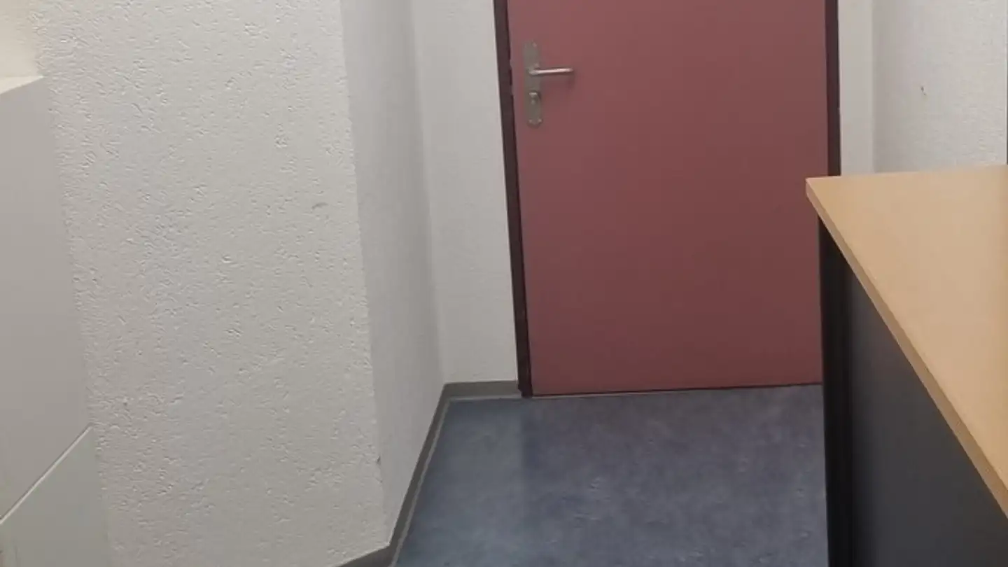 Commercial à louer - Steinackerstrasse 35, 8902 Urdorf