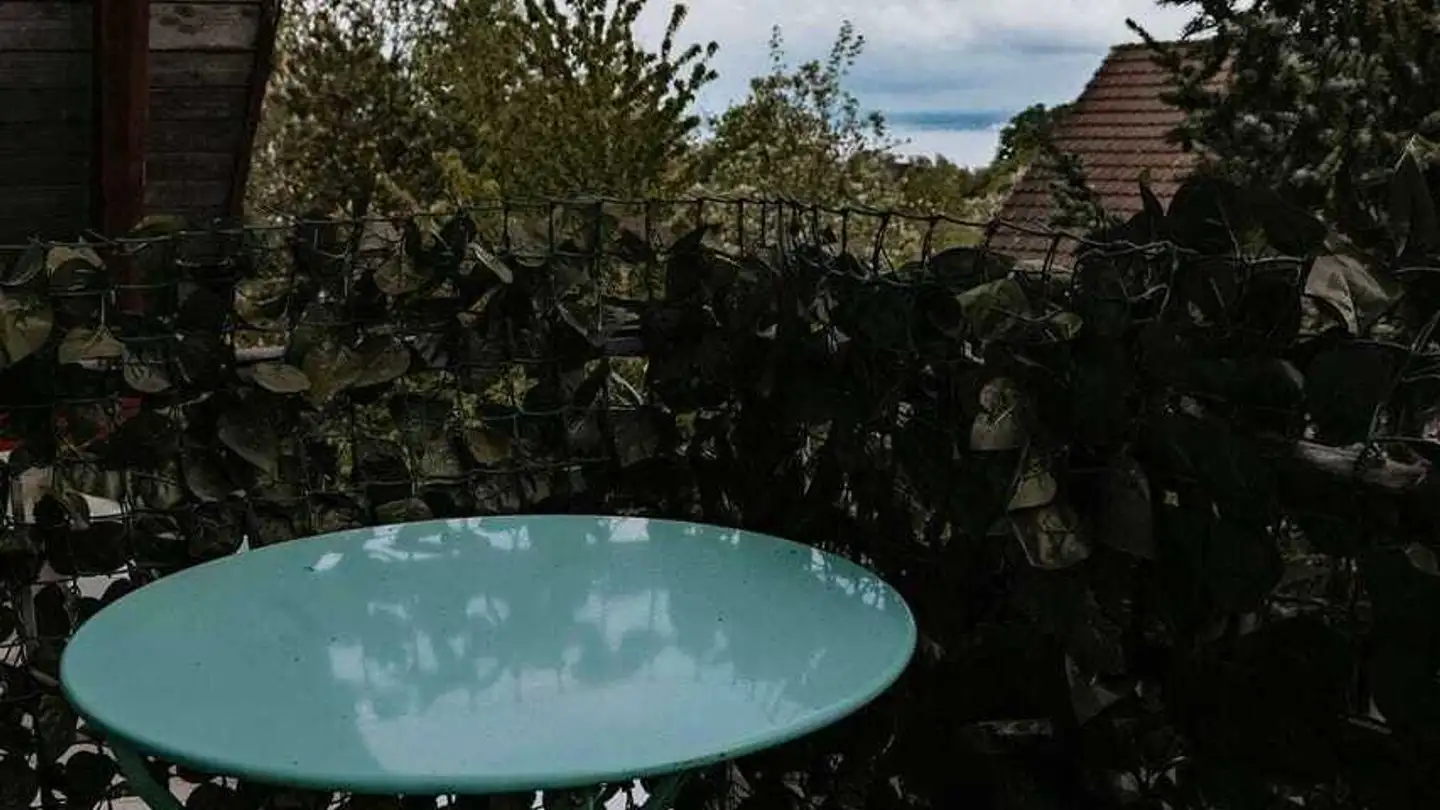 Residential building for sale - Feldstrasse 2, 8585 Schönenbaumgarten - Photo 2