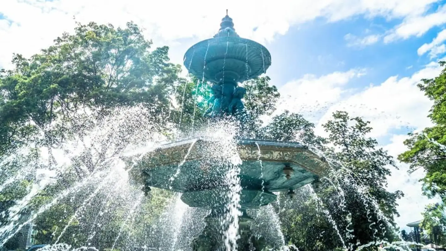 Commercial for sale - 1207 Genève - Photo 4