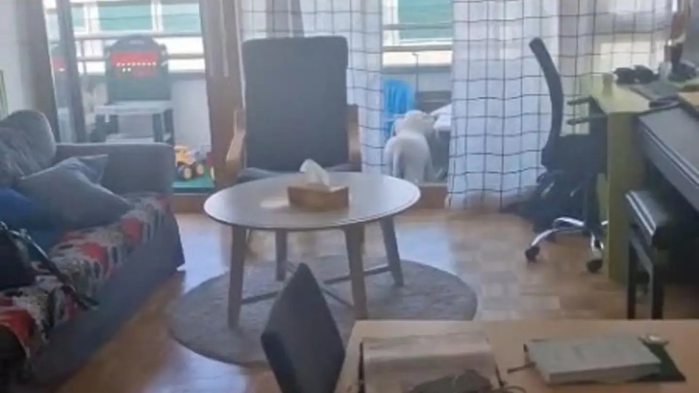 Apartment for rent - Route Du Grand-Lancy, 1212 Grand-Lancy - Photo 2