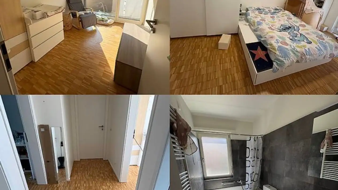 Appartamento in affitto - Viale Moesa 26, 6517 Arbedo