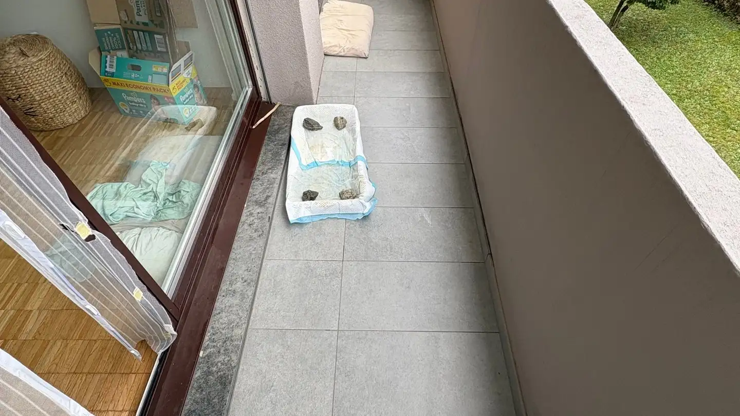 Appartamento in affitto - Viale Moesa 26, 6517 Arbedo - Foto 3