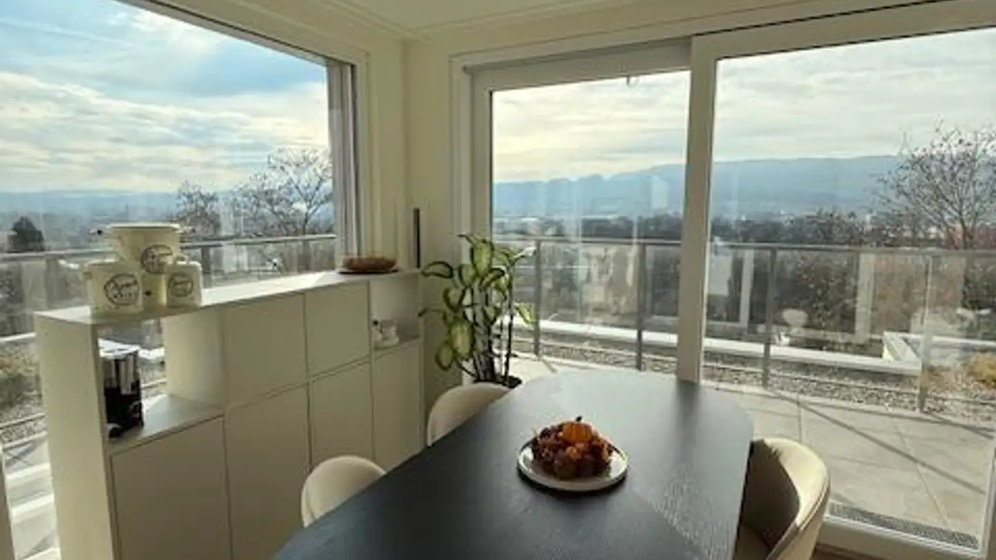 Stepped apartment for rent - 8955 Oetwil an der Limmat