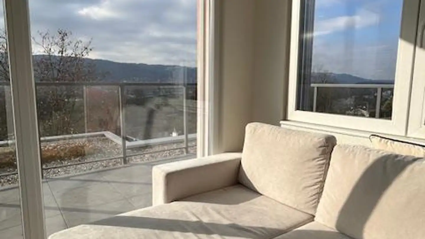 Stepped apartment for rent - 8955 Oetwil an der Limmat - Photo 3