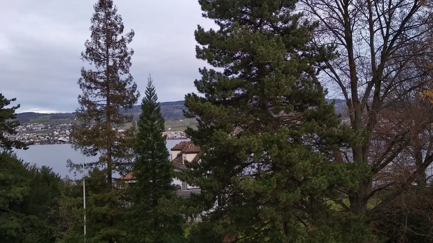 Apartment for rent - Glärnischstrasse 68, 8810 Horgen