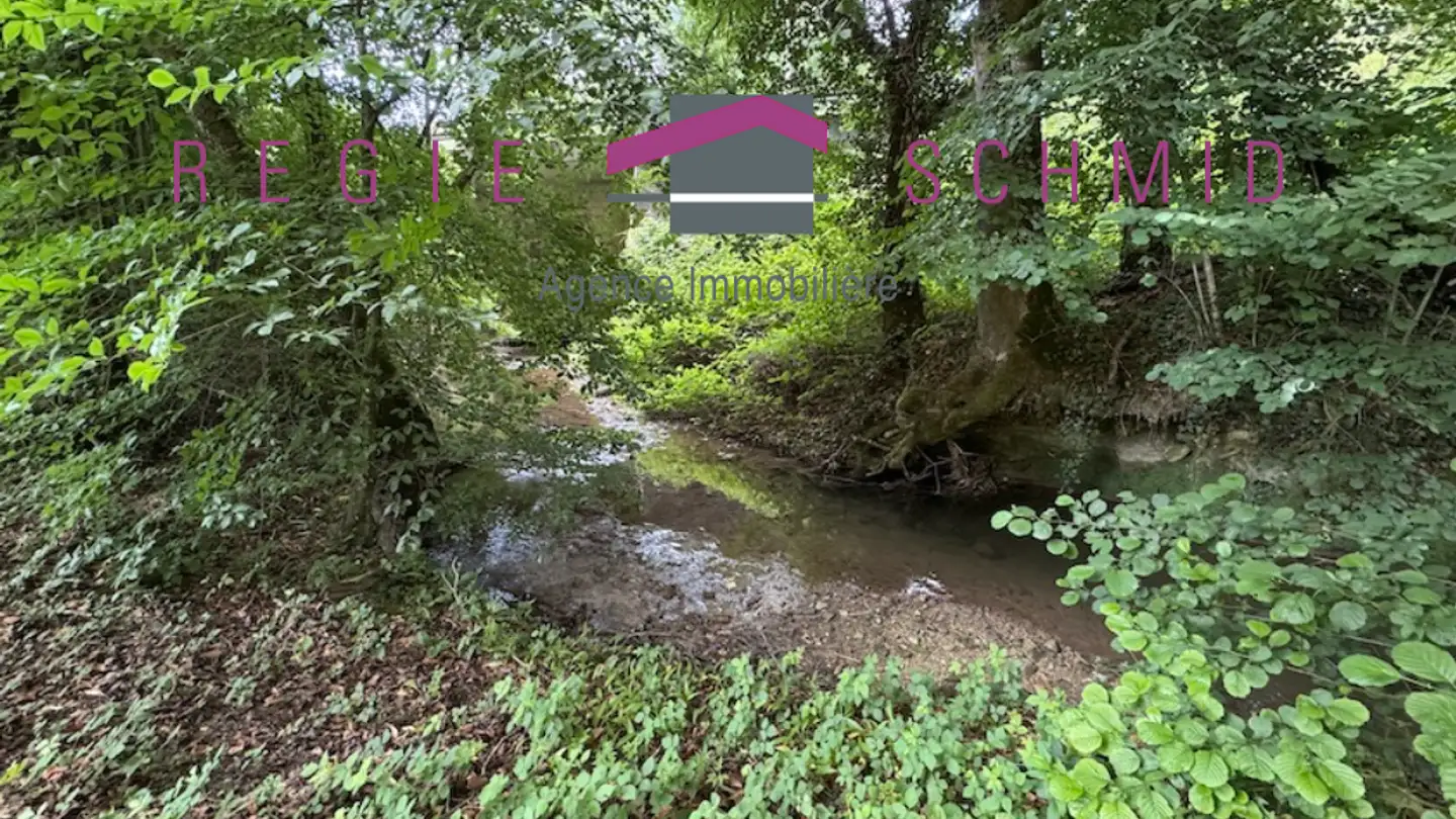 Farm for sale - 1260 Nyon