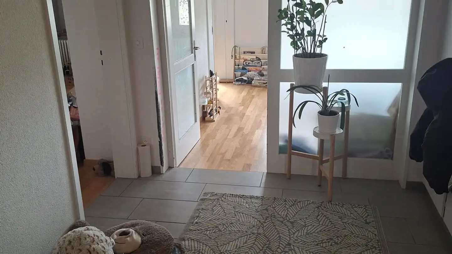 Apartment for rent - Gryphenhübeliweg 42, 3006 Bern