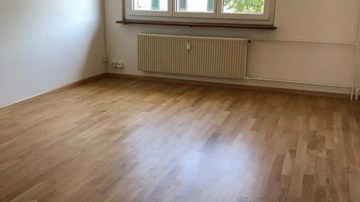 Appartamento in affitto - Lettenweg 3, 4102 Binningen - Foto 4